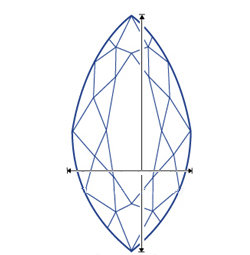 Top Dimensions
