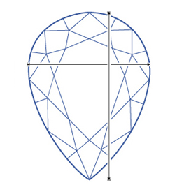 Top Dimensions